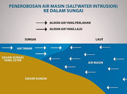 Apa saja dampak dan solusi dari kejadian ini? Penerobosan Air Masin Di Sungai Muar Boleh Lumpuhkan Industri
