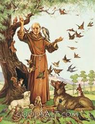 Pictures Of Nina K Brisley 23 Images Patron Saint Of Animals St Francis Francis Of Assisi