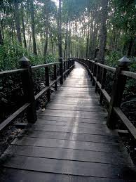 Malaysia is a green country and locals and visitors alike love malaysian national parks. Running Wild At 10 National Parks In Malaysia