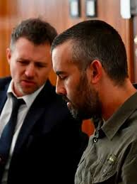 La Regina culpable: Solicitan 4 años de prisión y multa millonaria para el  productor que devastó hábitat de pingüinos en Punta Tombo