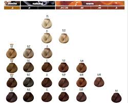 loreal professional hair color chart lajoshrich com