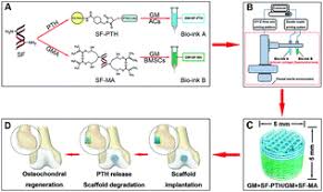 What is original.tmp and what is. 3d Bio Printed Biphasic Scaffolds With Dual Modification Of Silk Fibroin For The Integrated Repair Of Osteochondral Defects Biomaterials Science Rsc Publishing