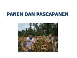 We did not find results for: Budidaya Tanaman Tahunan Ppt Download