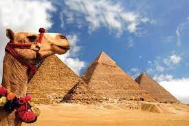 Giza pyramids including solar boat of king cheops and the sphinx 2. Private Half Day Tour Giza Pyramids And Sphinx By Camel Or Horse Book Egypt Cheap Tours Sightseeing Trips Activities Best Things To Do