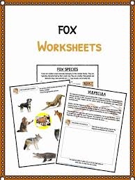 Check spelling or type a new query. Fox Facts Habitat Information Worksheets For Kids