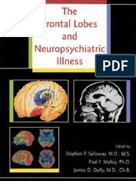 The brain stem contains ascending and descending tracts, cranial nerves and other nuclei, and fibers … Frontal Lobes Frontal Lobe Prefrontal Cortex