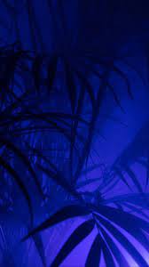Download 1080x1920 Wallpaper Art Light Purple Fractal Art Neon Blue Aesthetic Blue Aesthetic Dark Dark Blue Wallpaper See more ideas about iphone wallpaper night sky, iphone wallpaper night, aesthetic colors.