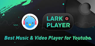 It also supports mp4, 3gp, and avi format. Lark Player Youtube Music Free Mp3 Top Player Apk Download For Free