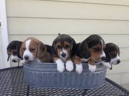 Maybe you would like to learn more about one of these? Home