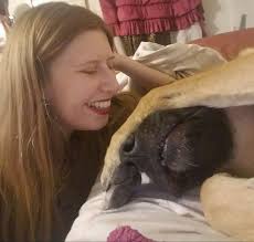 Let everyone see silly dog.😂