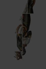 UNIVERSIDADE ESTADUAL DO OESTE DO PARANÁ - CAMPUS DE CASCAVEL CENTRO DE  EDUCAÇÃO, COMUNICAÇÃO E ARTES CURSO DE PÓS-GRADUA