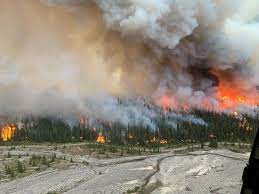 A wildfire at the base of blackrock mountain 25 kilometres north of canmore has grown sevenfold since friday. Abandoned Campfire Caused Wildfire Near Banff Park Forestry Officials Albertaprimetimes Com