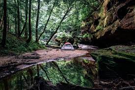 Explore camper reviews and photos of the campgrounds in bankhead national forest. Canyon Camping In Bankhead National Forest Alabama Camping