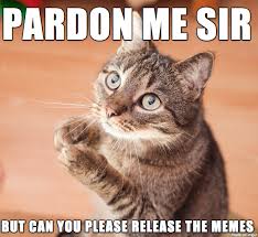 I Catch And Release Memes For My Daughter Meme On Imgur