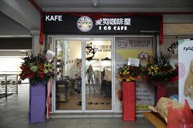 Media sports & recreation association putrajaya (mesra) adalah satu kelab yang ditubuhkan khas untuk kaki tangan media cetak dan media elektronik yang bertugas di putrajaya. Dogs Latte I Go Cafe Best Pet Cafe In The City