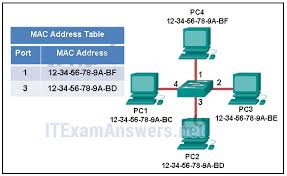 Satu lagi game yang bisa bikin kita puyeng, dan pandangan menjadi kabur, yakni find out. Ccna 1 V5 1 V6 0 Chapter 5 Exam Answers 2020 100 Full