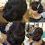 Curly Easy Prom Hairstyles For Short Hair