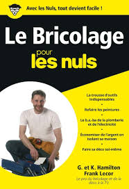 Les as de la déco. Bricolage 2e Poche Pour Les Nuls Le French Edition Lecor Frank Perrin Debock Kareen Hamilton Katie 9782754030410 Amazon Com Books