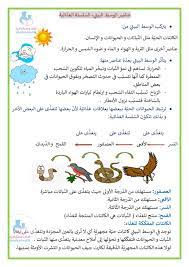 عناصر الوسط البيئي السلسلة الغذائية السنة 5 ايقاظ علمي موقع مدرستي word search puzzle words bullet journal