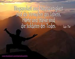 Biegsamkeit Und Nachgiebigkeit Sind Die Verwalter Des Lebens Harte Und Starke Sind Die Soldaten Gefuhle Zitate Inspirierende Spruche Weisheiten Furs Leben