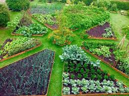 Discover More About Herb Gardening Vegetable Garden Design Garden Layout Garden Layout Vegetable