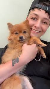 Lost dog found in Fort Oglethorpe