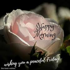 A large collection of good morning messages for friends, lots of nice good morning wishes and beautiful images to cheer your friends up. 110 Beautiful Good Morning Wishes For Friday Best Images