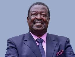 Who among Musalia Mudavadi, Moses Wetangula, and George Natembea is the  Luhya kingpin?
