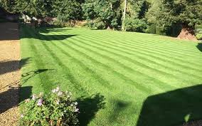 I had a difficult time finding people who could keep consistent schedules or many would. Green Man Lawn Care Your Lawn S Best Friend