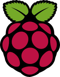 Raspberry Pi Logo Transparent Raspberry