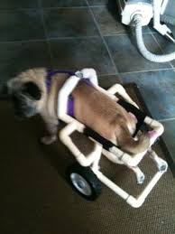 What are the necessary parts? Dog Wheelchair Instructables