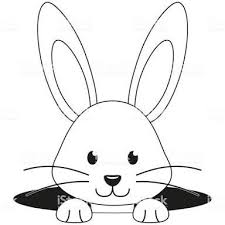 Image Result For Black And White Vector Rabbit Face Outlines Face Outline Black And White Kitty