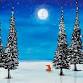 Festive Winter Forest The Moorings, Barrow upon Soar event image
