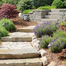 For more than 25 years, starr turfgrass inc. Products And Services By Starr Turf Grass In Dfw Tx