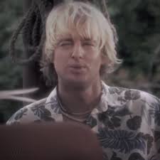 Owen Wilson Cat Saying Wow