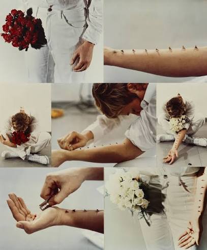 Work by Gina Pane