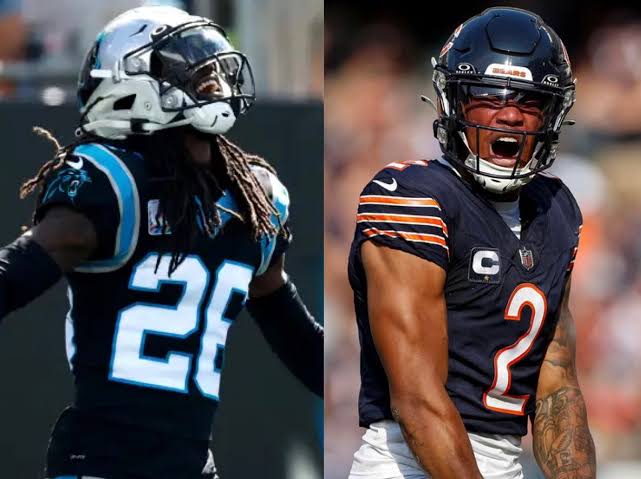 Everything You Need to Know about the Panthers vs Bears - Carolina Blitz