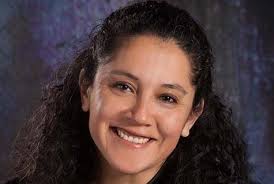 Lisle Township supervisor's DUI conviction triggers failed no-confidence  vote