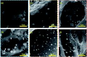 Quindi ora la lascerò con. Influence Of Cerium Doping On Cu Ni Activated Carbon Low Temperature Co Scr Denitration Catalysts Rsc Advances Rsc Publishing Doi 10 1039 D1ra02352g