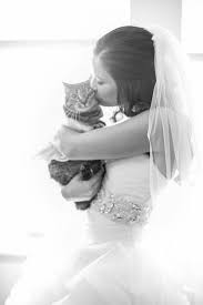 Pin On Wedding
