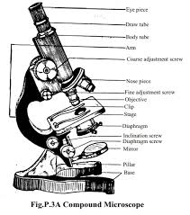 Then, super glue a lens at the end of each tube and slide the smaller tube into the larger one. Microscope Structure Uses Functioning Processes Of Simple Compound Microscope