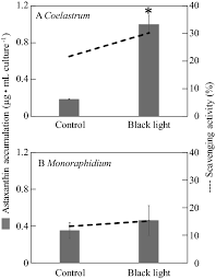 The company providing various service of civil engineering , mechanical engineering , subsea engineering , diving service and trading which are mainly targeted on government contract and oil & gas industries in. Enhancement Of Astaxanthin Accumulation Using Black Light In Coelastrum And Monoraphidium Isolated From Malaysia Scientific Reports