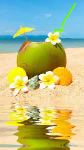 Coconut Cocktail Straw Paper Umbrella Cute Wallpapers For Girls Flowers Seashells Beach Sand Cute Girl Wallpaper Cute Wallpapers Summer Wallpaper Phone