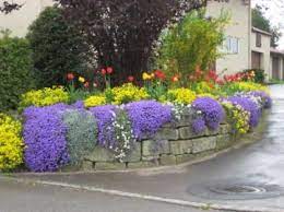 Cascading Plants Cascading Plants Landscaping Retaining Walls Backyard Retaining Walls