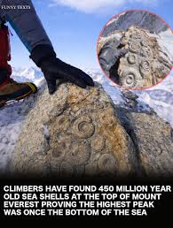 You won't believe what climbers found near the top of Mount Everest:  seashells older than 400 million years. The summit of Mount Everest is made  of Ordovician limestone that is roughly 450