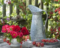 Kleiner Blumenstrauss Aus Roten Rosen Kapuzinerkresse Sowie Erdbeeren Und Johannisbeeren Schone Blumenstrausse Kleiner Blumenstrauss Garten Pflanzen