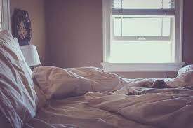 We did not find results for: Letting The Light Shine In Minding My Nest