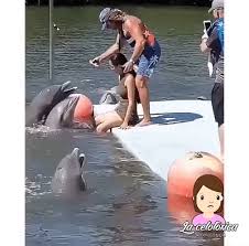 Последние твиты от aqui llego tu tiburon (@gabriigarciia). Aqui Llego Tu Tiburon Outdoor Pool Float Pool
