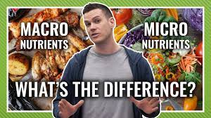 Time to put our nerd caps on! Macronutrients Vs Micronutrients Which Matters Most Barbend