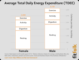 What Is Tdee Total Daily Energy Expenditure